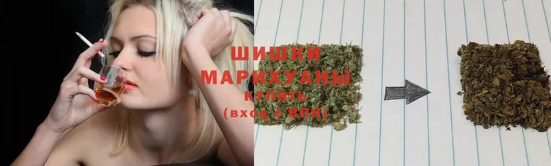 Канабис SATIVA & INDICA  Венёв 